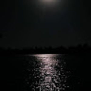 Meet your Posher, Deanna